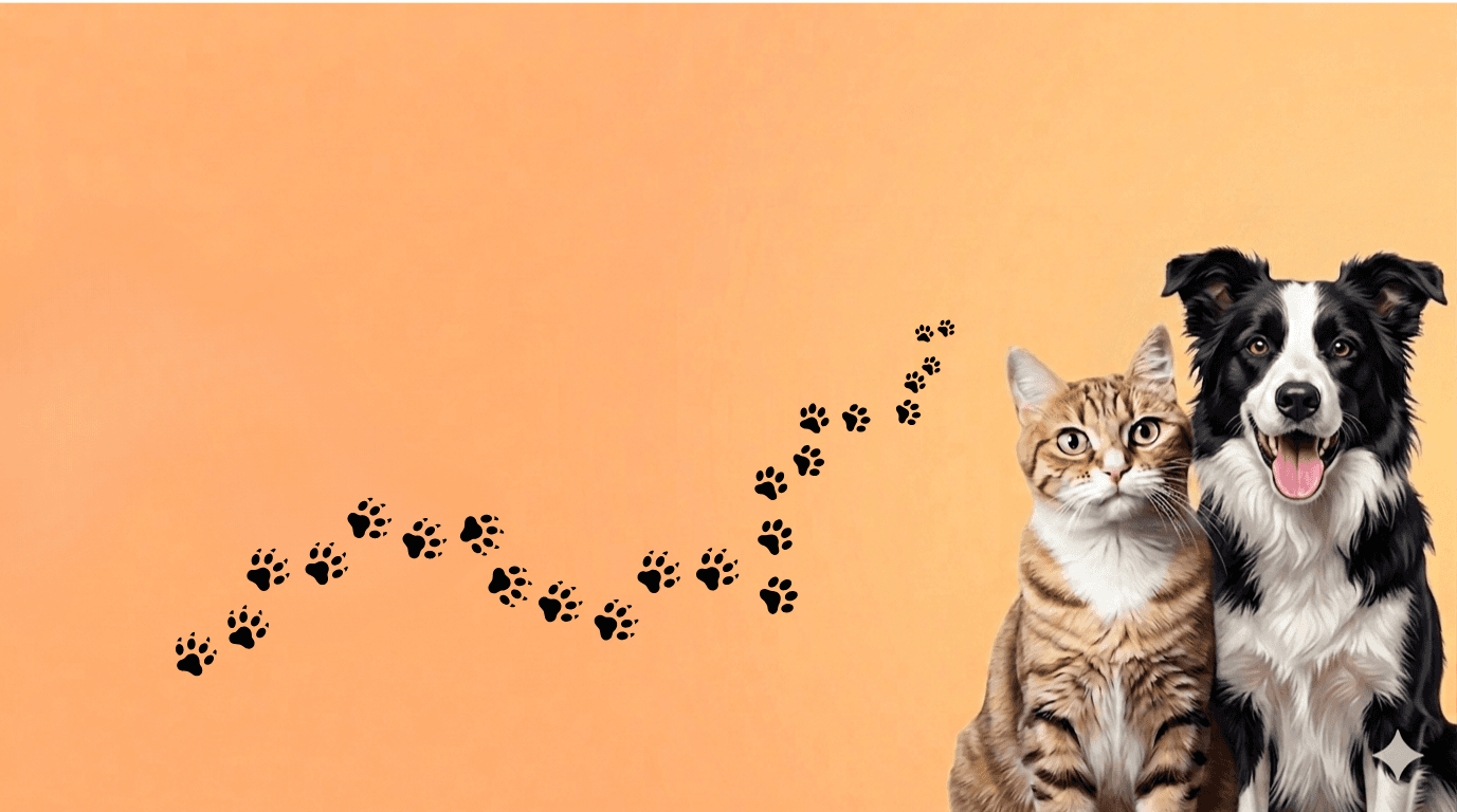 Banner background
