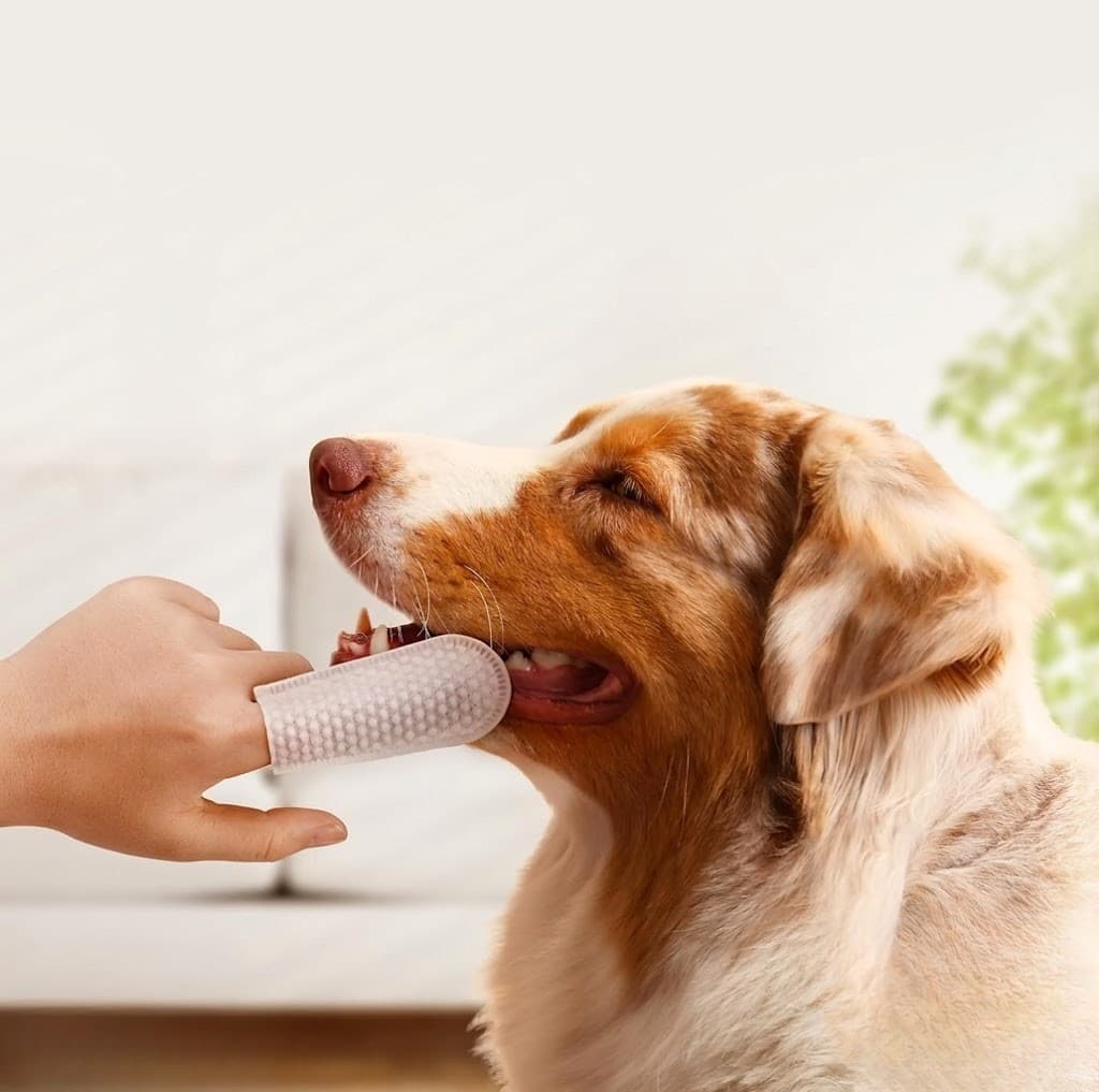 Płatki do czyszczenia uszu Psa i Kota