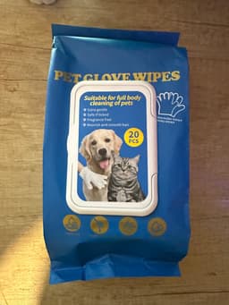 Anna, właścicielka labradora